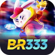 BR333