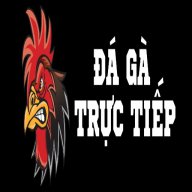 dagatructiep88tv