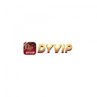 dyvipnetbr