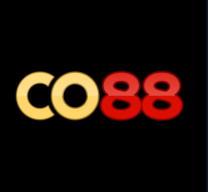 6co88com