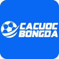 cacuocbongdavin