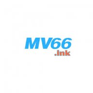 mv66storee
