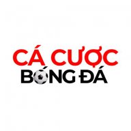 cacuocbongdaitcom