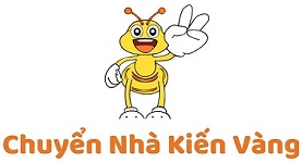 cvpkienvanghanoixu
