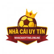 nhacaiuytinsonl