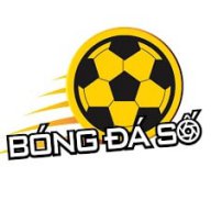 bongdasovip