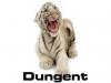 dungent