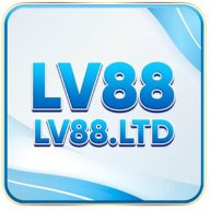 lv88ltd