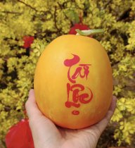 Đại Lâm Mộc(1988)