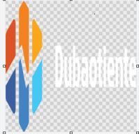dubaotiente