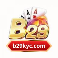 B29kyccom