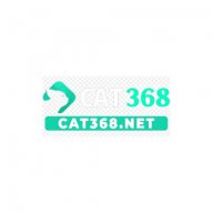 CAT 368