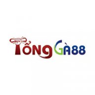 tongga88com