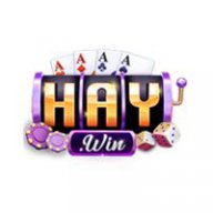 haywin1biz