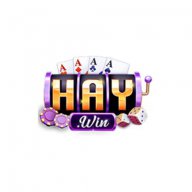 haywin1studio