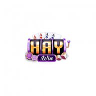 haywin1co