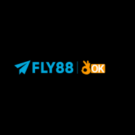 Fly888 it com