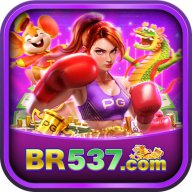 BR537