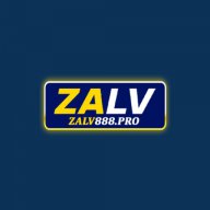 zalv888pro