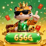 6566brcom
