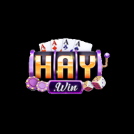 haywin14com