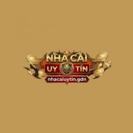 nhacaiuytingdnn