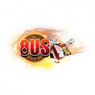 8ustech1
