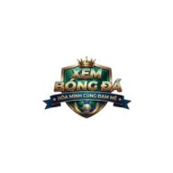 xembongda lytuongnet