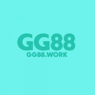 Gg88vnnet3