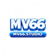 mv66studio