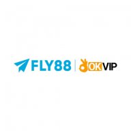 fly88jrcom
