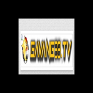 gavang33 com
