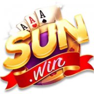 sunwin15org3