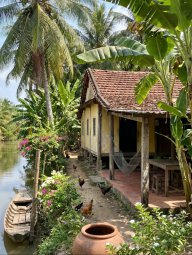 Hoa Phong Lan