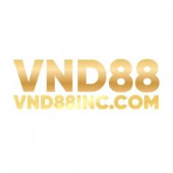 ceotranminhducv