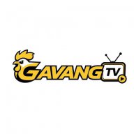 gavangtvllc