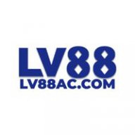 lv8800com