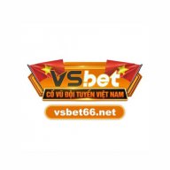vsbet66net