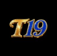 amt19com