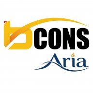 bconsariabconsgroup