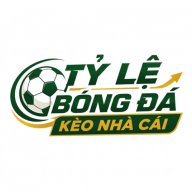 tylebongdakeonhacain