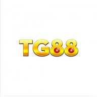 mtg88net