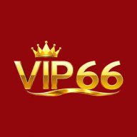 vip66t1com