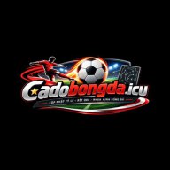 cadobongdaicu01