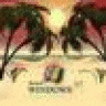 sicFiddimiNivyrork