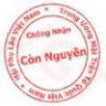 cutun