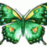 FST