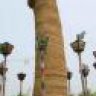cutidethuong