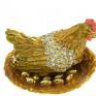 TanDau