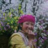 longduong@@